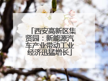 西安高新区集贤园：新能源汽车产业带动工业经济迅猛增长