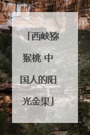 西峡猕猴桃 中国人的阳光金果