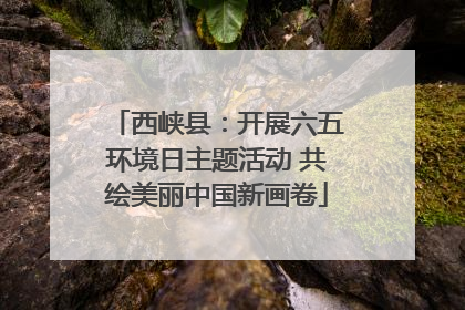 西峡县：开展六五环境日主题活动 共绘美丽中国新画卷