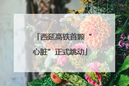 西延高铁首颗“心脏”正式跳动