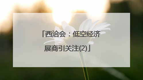 西洽会：低空经济展商引关注(2)