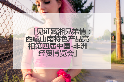 见证藏湘兄弟情：西藏山南特色产品亮相第四届中国-非洲经贸博览会