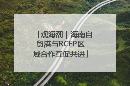 观海潮｜海南自贸港与RCEP区域合作互促共进