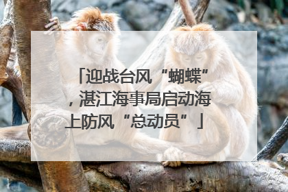 迎战台风“蝴蝶”，湛江海事局启动海上防风“总动员”