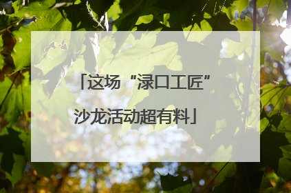 这场“渌口工匠”沙龙活动超有料