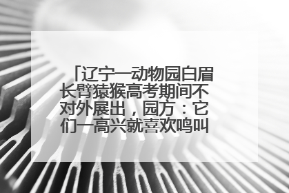 辽宁一动物园白眉长臂猿猴高考期间不对外展出，园方：它们一高兴就喜欢鸣叫，怕影响考试