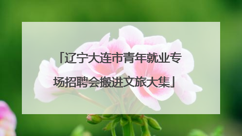 辽宁大连市青年就业专场招聘会搬进文旅大集