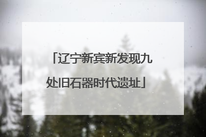 辽宁新宾新发现九处旧石器时代遗址