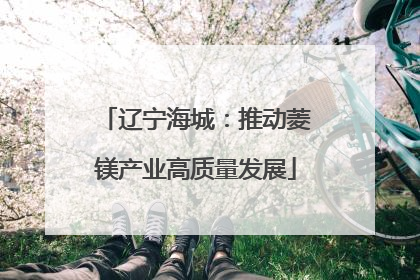 辽宁海城：推动菱镁产业高质量发展