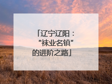 辽宁辽阳：“袜业名镇”的进阶之路