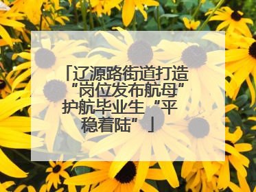 辽源路街道打造“岗位发布航母” 护航毕业生“平稳着陆”