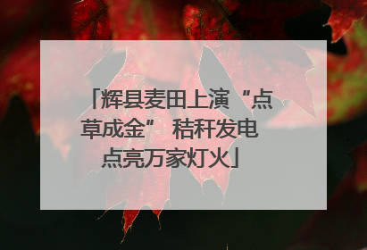 辉县麦田上演“点草成金” 秸秆发电点亮万家灯火