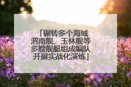 辗转多个海域 渭南舰、玉林舰等多艘舰艇组成编队开展实战化演练