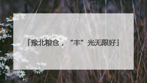 豫北粮仓，“丰”光无限好