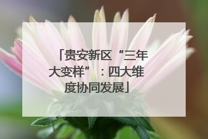 贵安新区“三年大变样”：四大维度协同发展