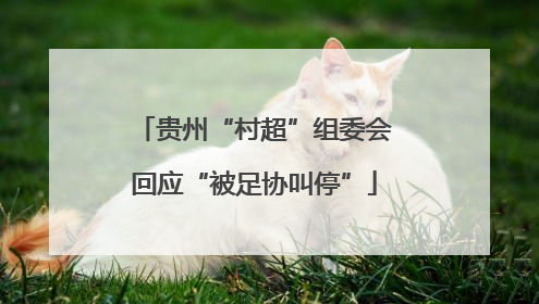 贵州“村超”组委会回应“被足协叫停”