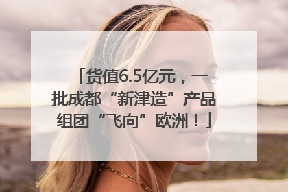 货值6.5亿元，一批成都“新津造”产品组团“飞向”欧洲！