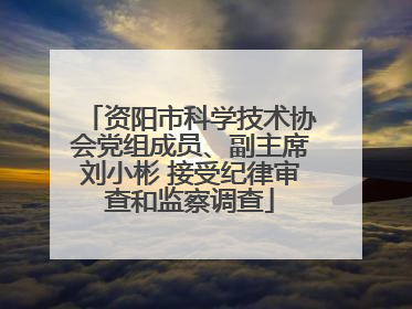资阳市科学技术协会党组成员、副主席刘小彬 接受纪律审查和监察调查