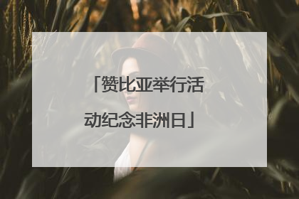 赞比亚举行活动纪念非洲日