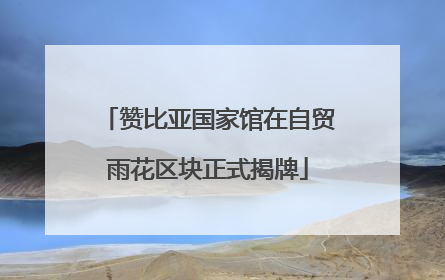 赞比亚国家馆在自贸雨花区块正式揭牌