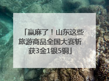 赢麻了！山东这些旅游商品全国大赛斩获3金1银5铜