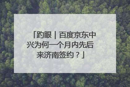 趵眼｜百度京东中兴为何一个月内先后来济南签约？
