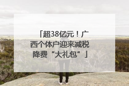 超38亿元！广西个体户迎来减税降费“大礼包”
