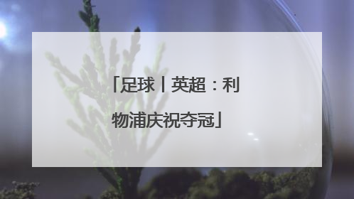 足球丨英超：利物浦庆祝夺冠