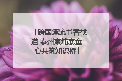 跨国漂流书香载道 泰州柬埔寨童心共筑知识桥