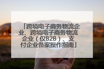 跨境电子商务物流企业、跨境电子商务物流企业（仅B2B）、支付企业备案操作指南