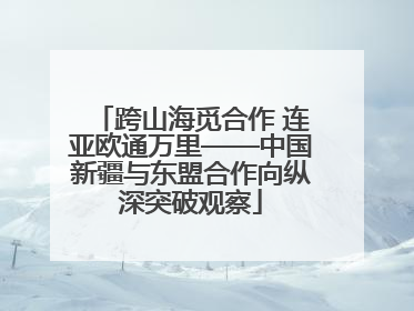 跨山海觅合作 连亚欧通万里——中国新疆与东盟合作向纵深突破观察