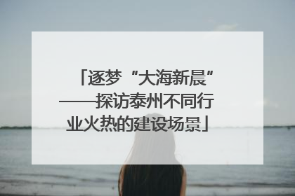 逐梦“大海新晨”——探访泰州不同行业火热的建设场景