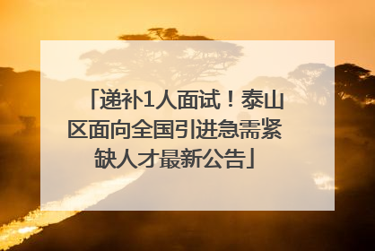 递补1人面试！泰山区面向全国引进急需紧缺人才最新公告