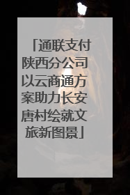 通联支付陕西分公司以云商通方案助力长安唐村绘就文旅新图景
