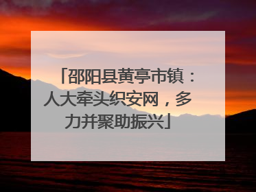 邵阳县黄亭市镇：人大牵头织安网，多力并聚助振兴