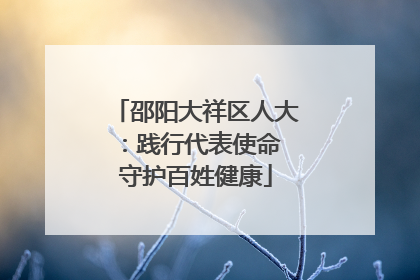 邵阳大祥区人大：践行代表使命 守护百姓健康