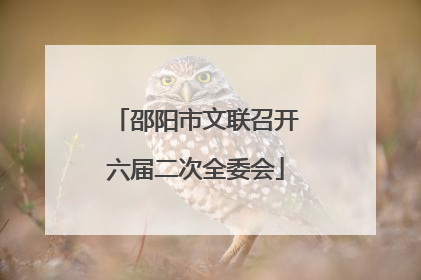 邵阳市文联召开六届二次全委会