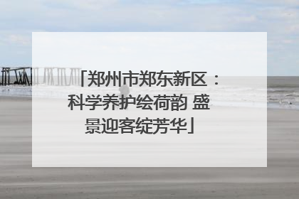 郑州市郑东新区：科学养护绘荷韵 盛景迎客绽芳华