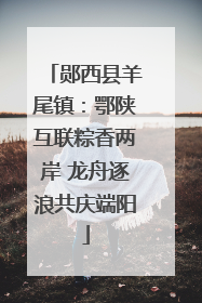 郧西县羊尾镇：鄂陕互联粽香两岸 龙舟逐浪共庆端阳
