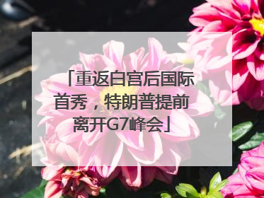 重返白宫后国际首秀，特朗普提前离开G7峰会