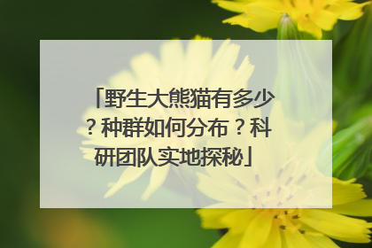 野生大熊猫有多少？种群如何分布？科研团队实地探秘