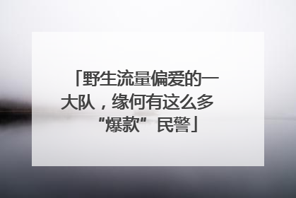 野生流量偏爱的一大队，缘何有这么多“爆款”民警