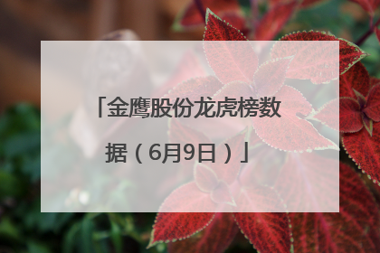 金鹰股份龙虎榜数据（6月9日）