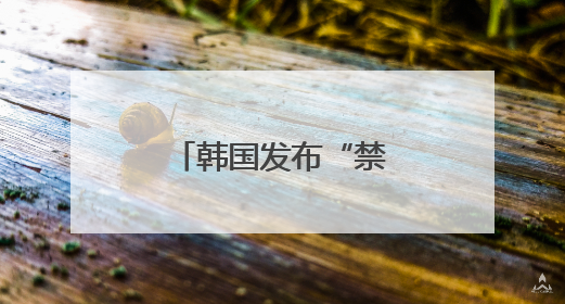 韩国发布“禁枪令”加强总统选举期间安保