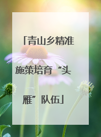 青山乡精准施策培育“头雁”队伍