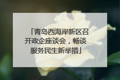 青岛西海岸新区召开政企座谈会，畅谈服务民生新举措