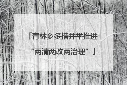青林乡多措并举推进“两清两改两治理”