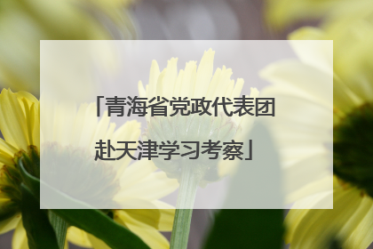 青海省党政代表团赴天津学习考察
