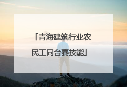 青海建筑行业农民工同台赛技能