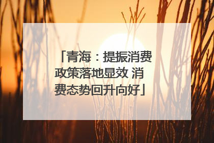 青海：提振消费政策落地显效 消费态势回升向好